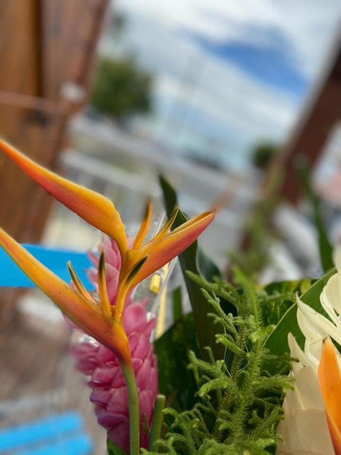 Residence Vwal O Van 2, Studio Plage A Proximite サンタンヌ エクステリア 写真